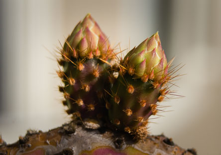 20150423-L3012793.jpg
