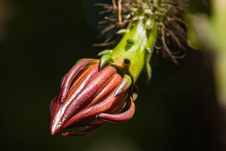 20190826-C1090588.jpg