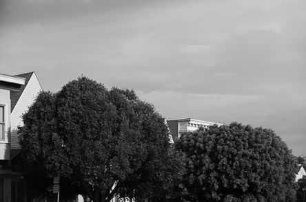20260424-B1007986.jpg